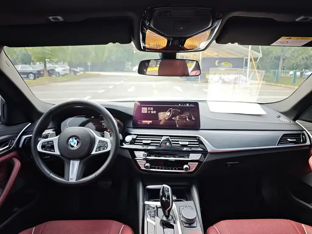 BMW 5 Series 2021 из CN, фото 6