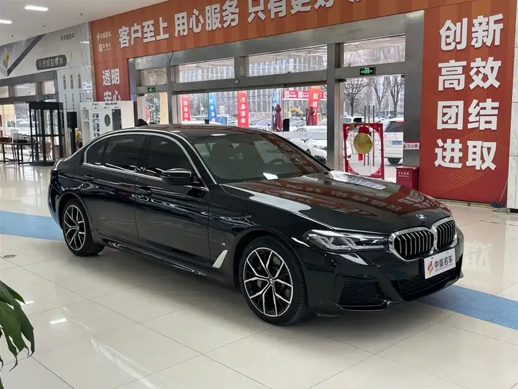 BMW 5 Series 2022 из CN, фото 6