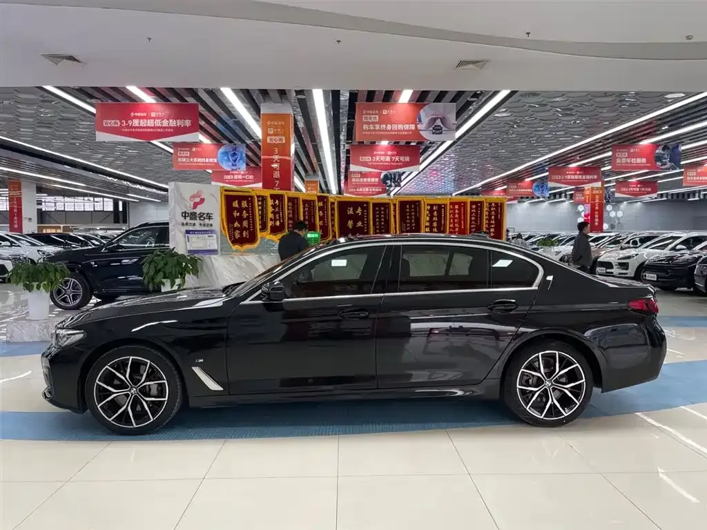BMW 5 Series 2022 из CN, фото 5