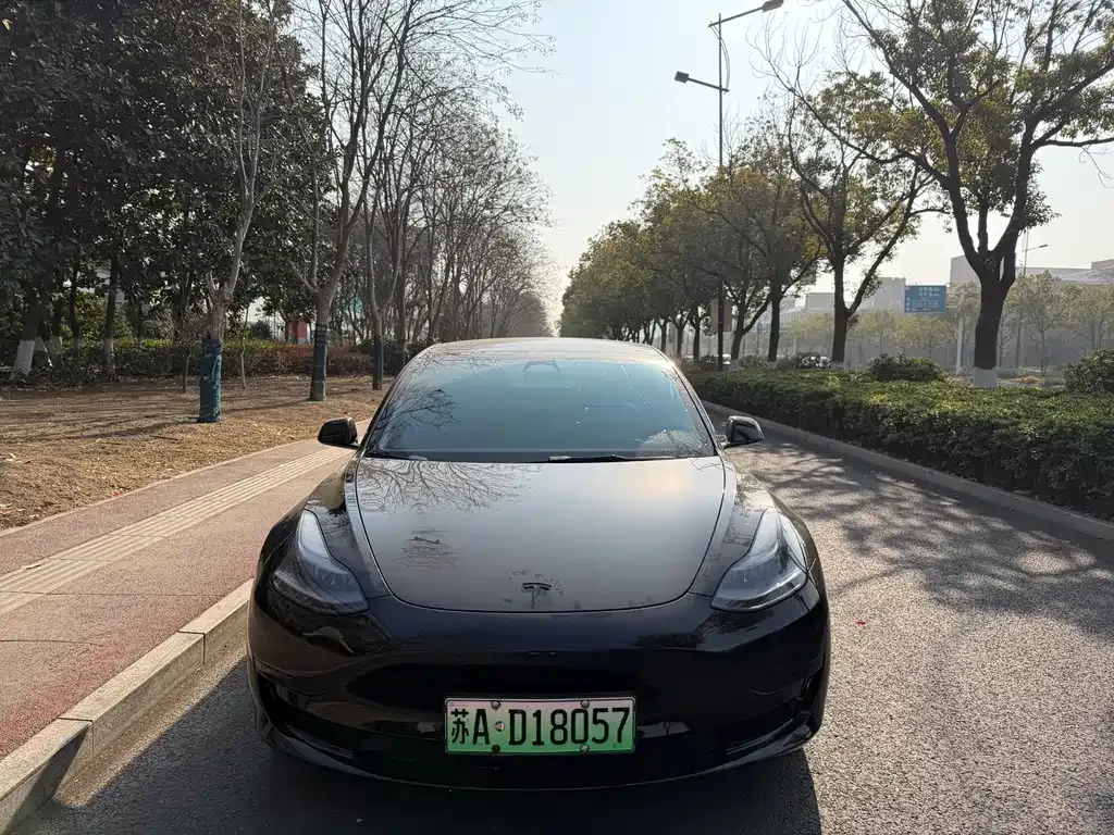 Tesla Model 3 2023 из CN, фото 6