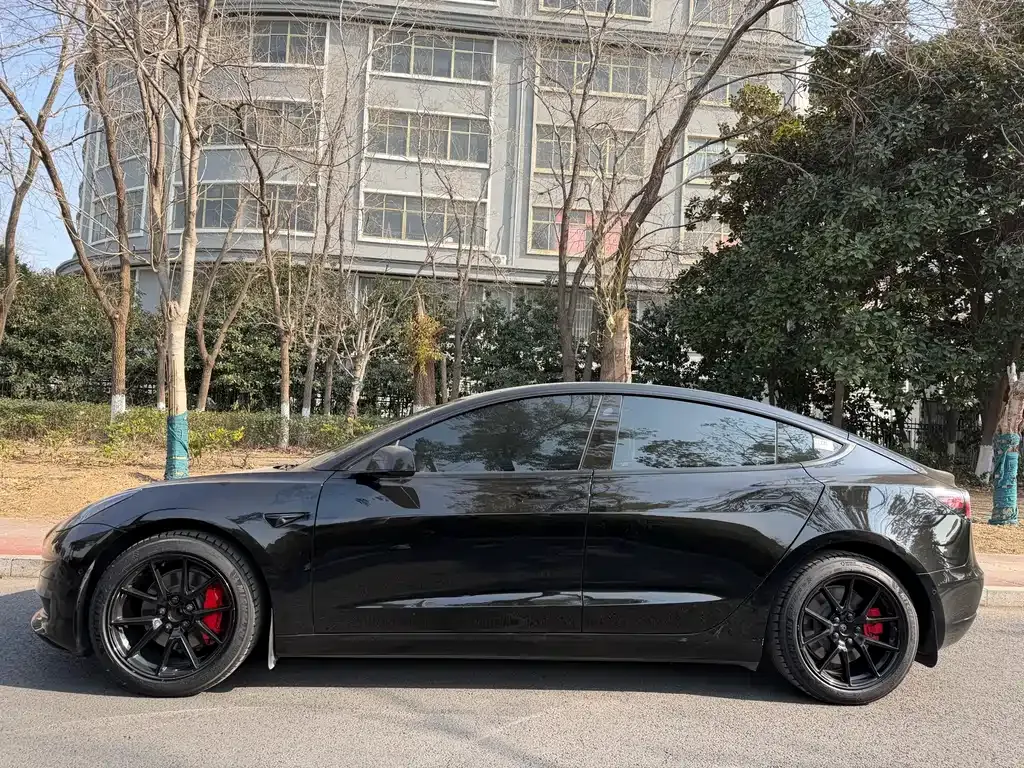 Tesla Model 3 2023 из CN, фото 5