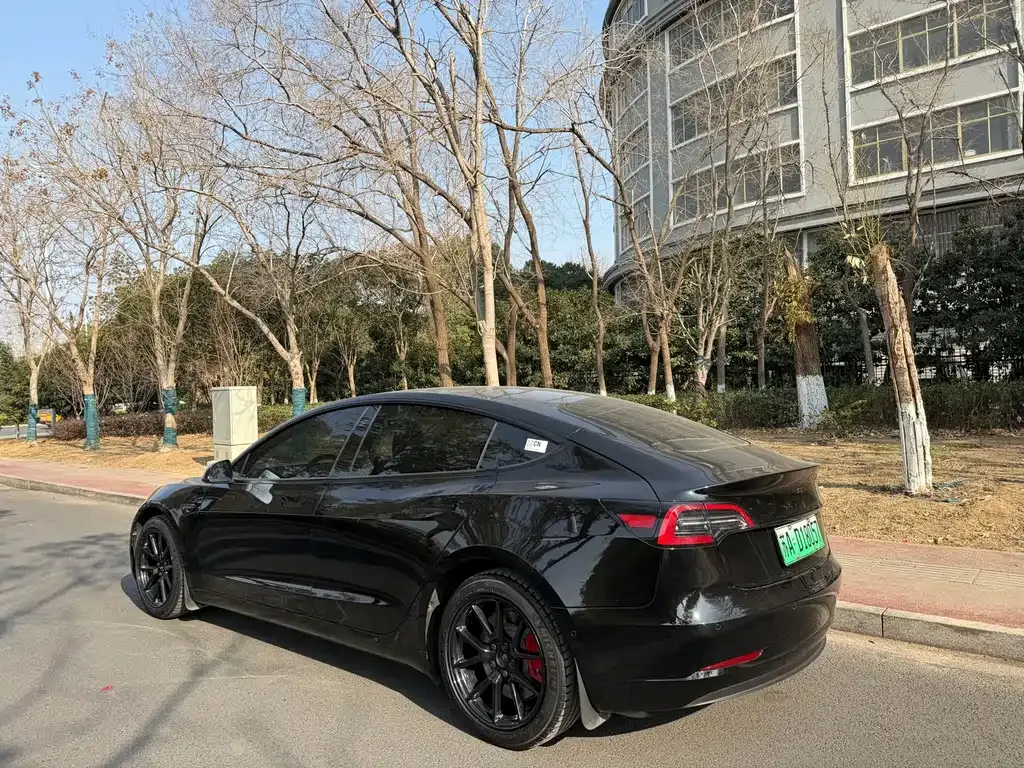 Tesla Model 3 2023 из CN, фото 7