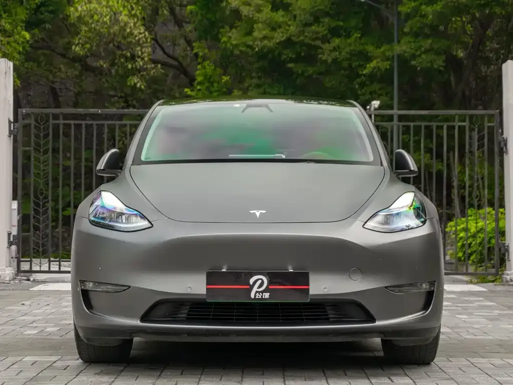 Tesla Model Y 2021 из CN, фото 6