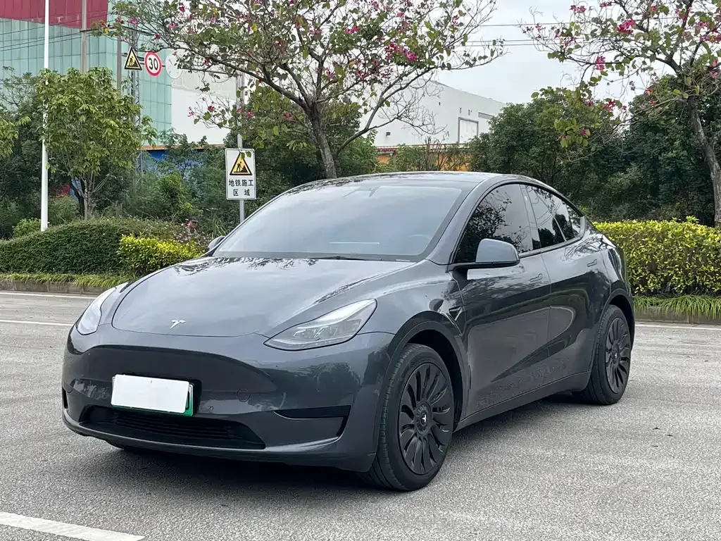 Tesla Model Y 2022 из CN, фото 1