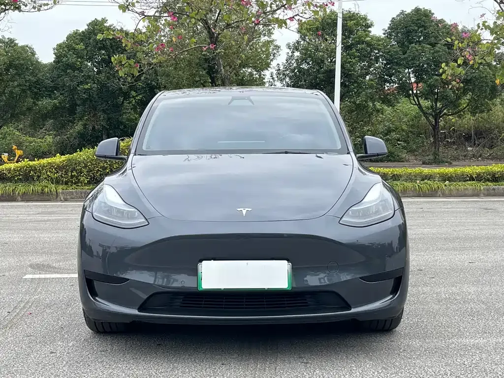 Tesla Model Y 2022 из CN, фото 6