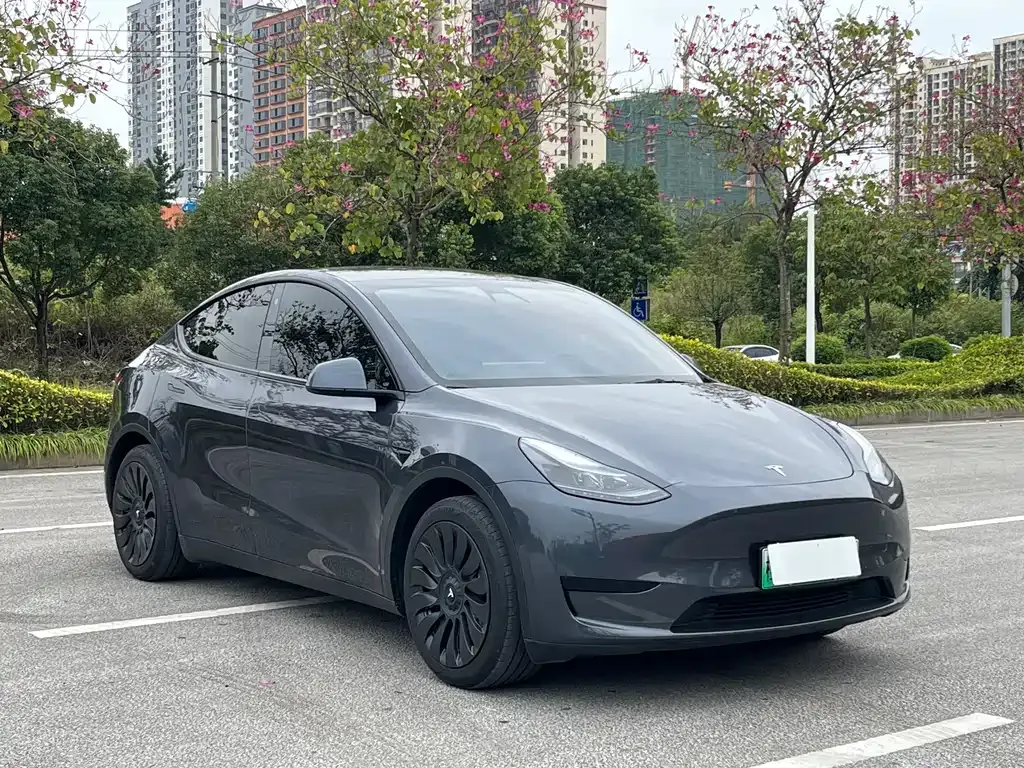 Tesla Model Y 2022 из CN, фото 5