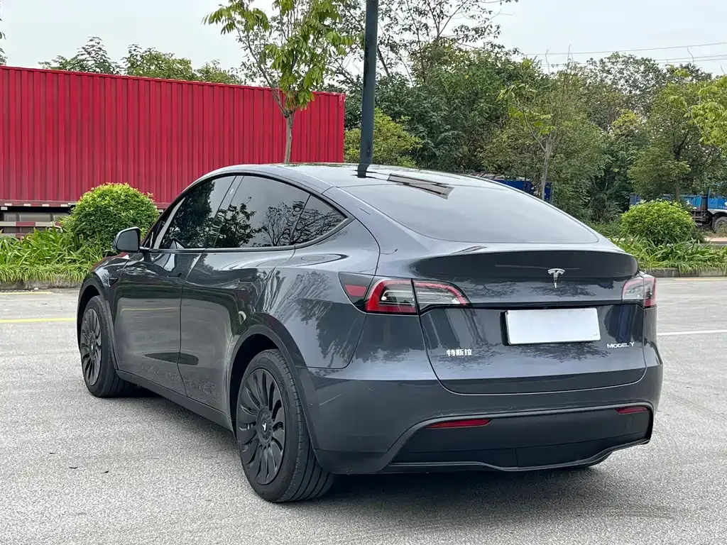 Tesla Model Y 2022 из CN, фото 8