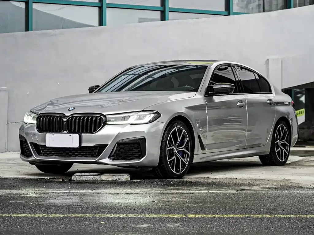 BMW 5 Series (Import) 2023 из CN, фото 1