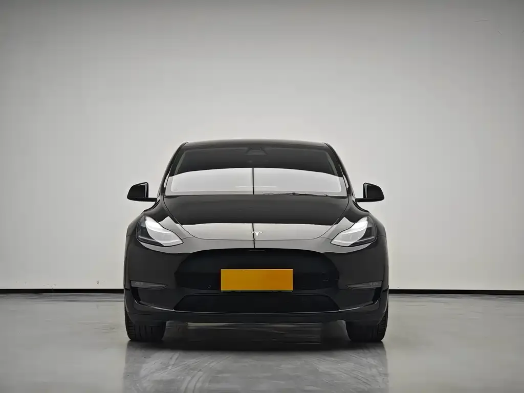 Tesla Model Y 2022 из CN, фото 5