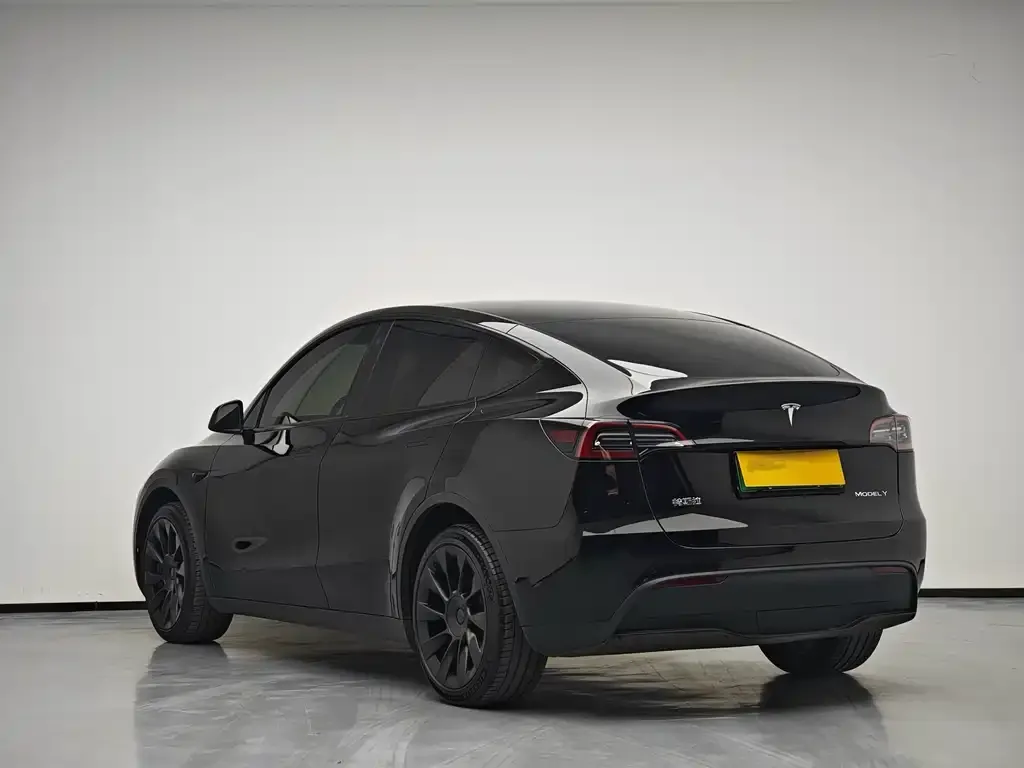 Tesla Model Y 2022 из CN, фото 4