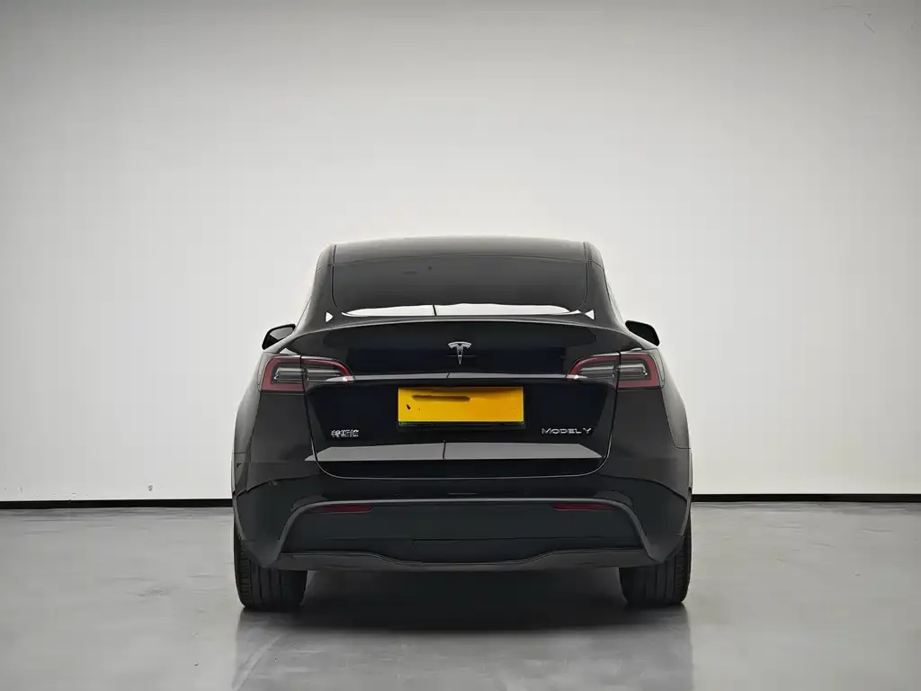 Tesla Model Y 2022 из CN, фото 2