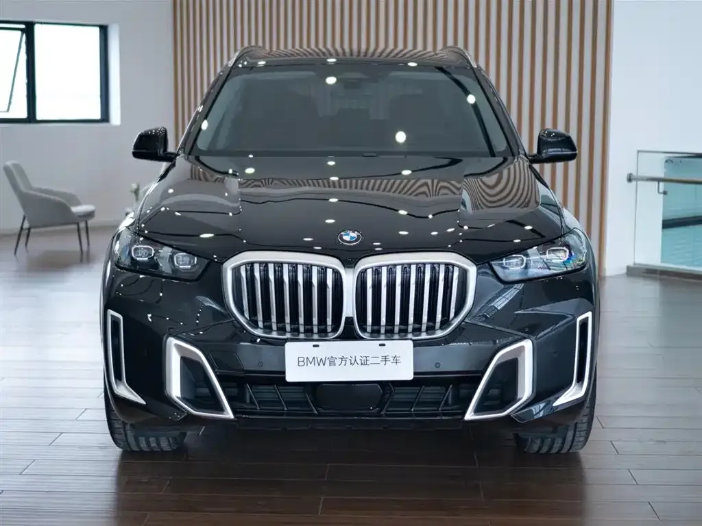 BMW X5 2025 из CN, фото 6