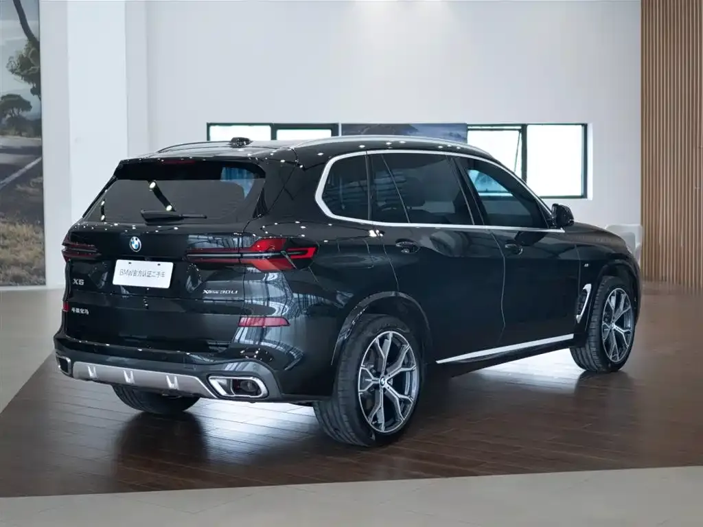 BMW X5 2025 из CN, фото 2