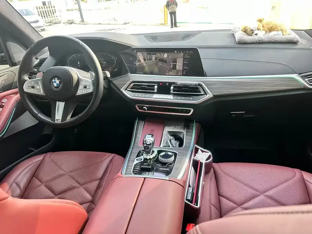 BMW X5 2023 из CN, фото 10
