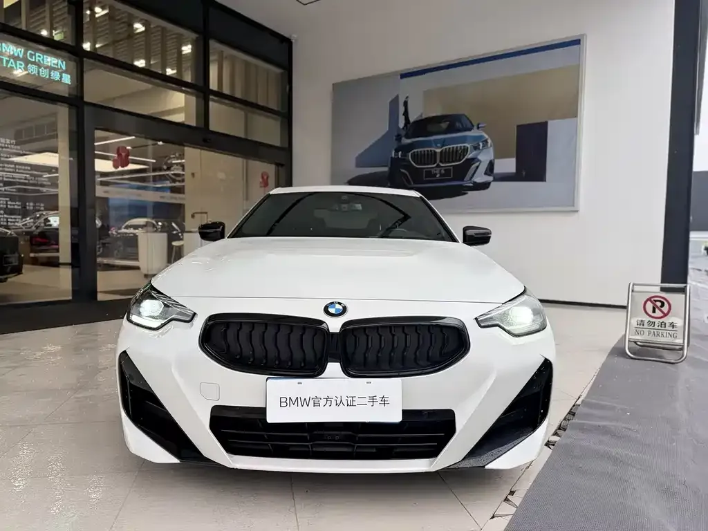 BMW 2 Series (Import) — фото 9