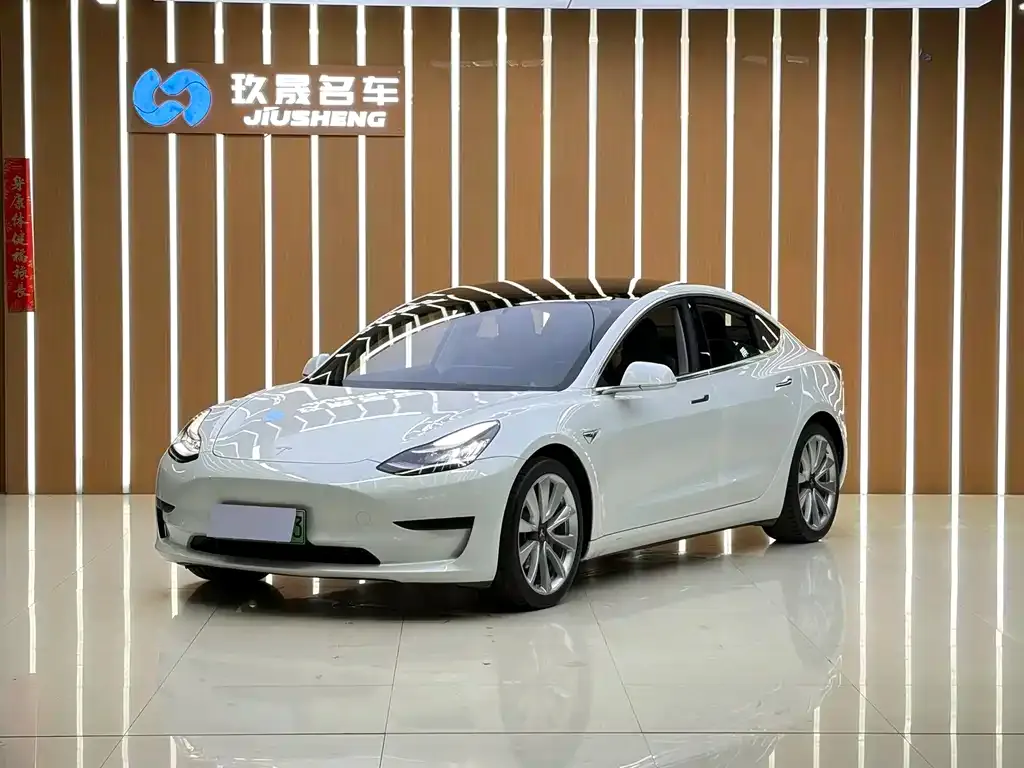 Tesla Model 3 2021 из CN, фото 1