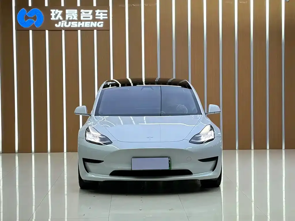 Tesla Model 3 2021 из CN, фото 5