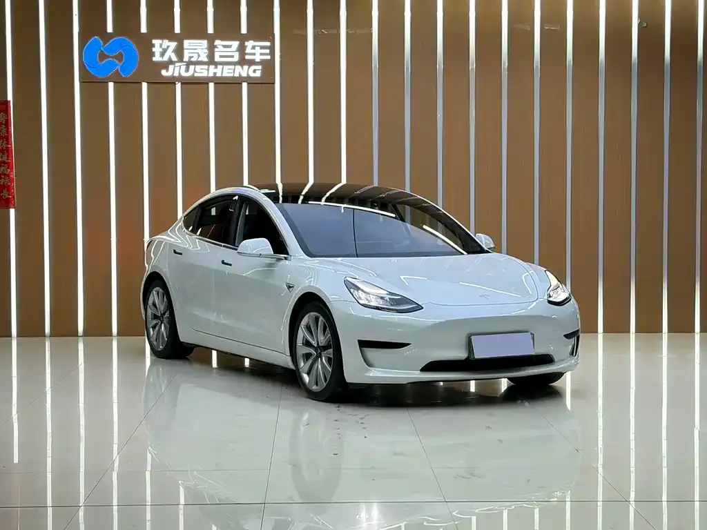 Tesla Model 3 2021 из CN, фото 7