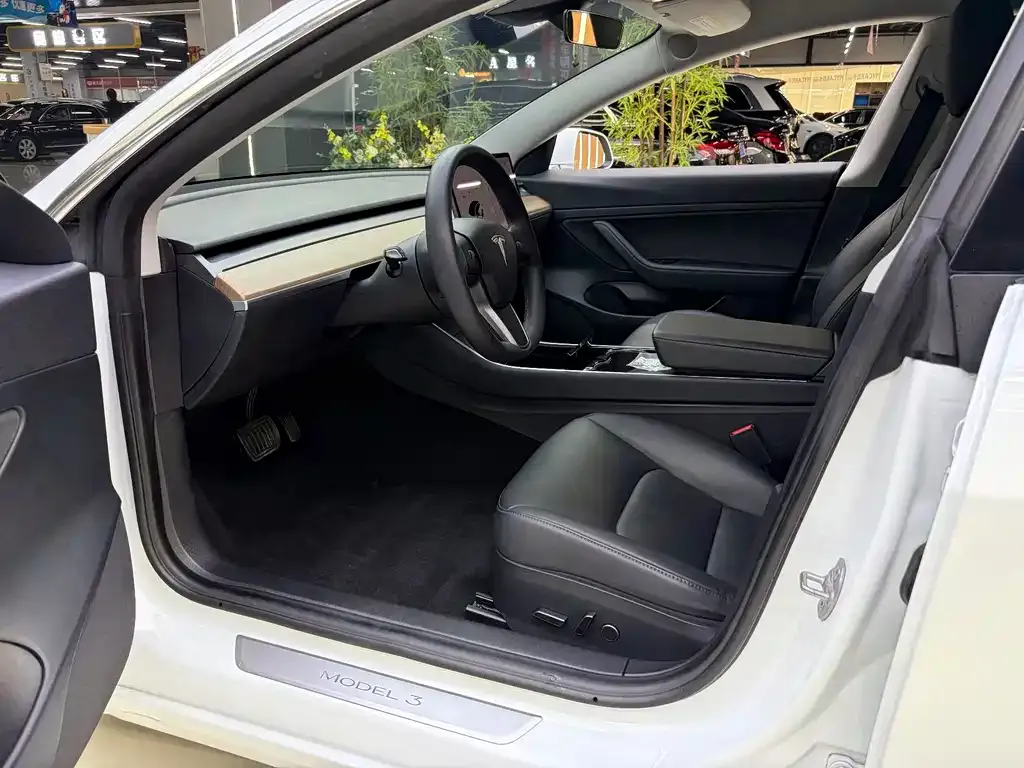 Tesla Model 3 2021 из CN, фото 4