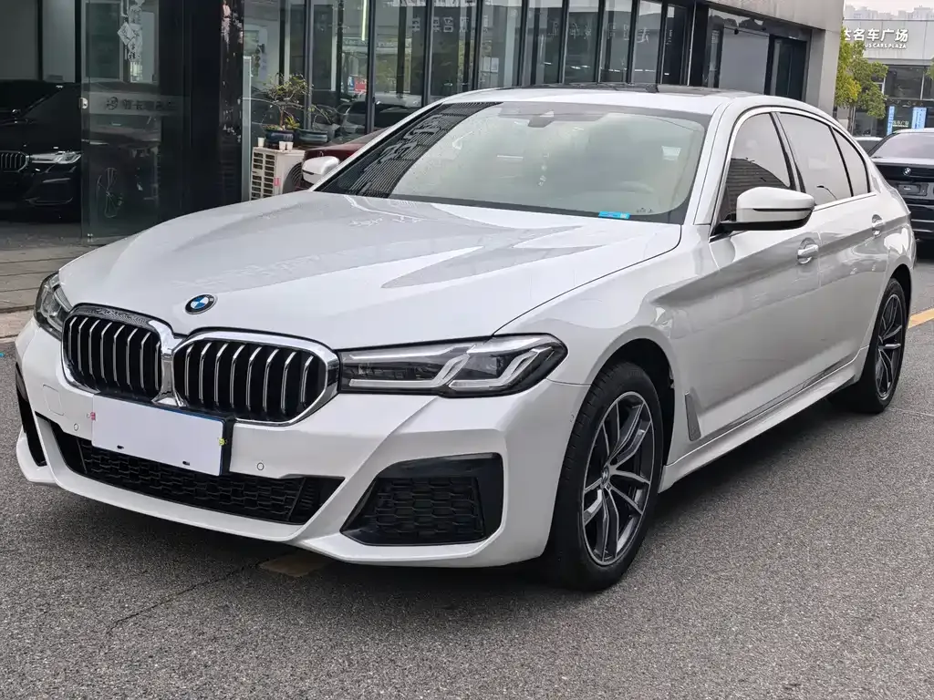BMW 5 Series 2022 из CN, фото 1