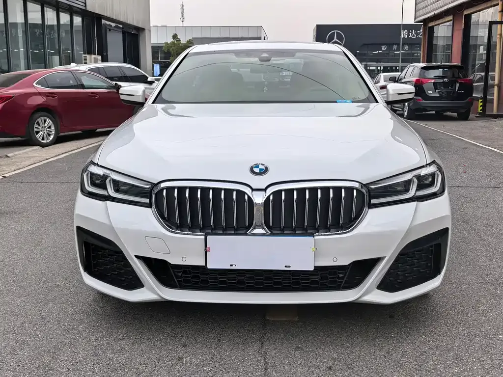 BMW 5 Series 2022 из CN, фото 5