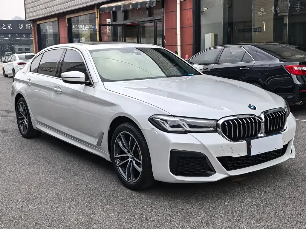 BMW 5 Series 2022 из CN, фото 6