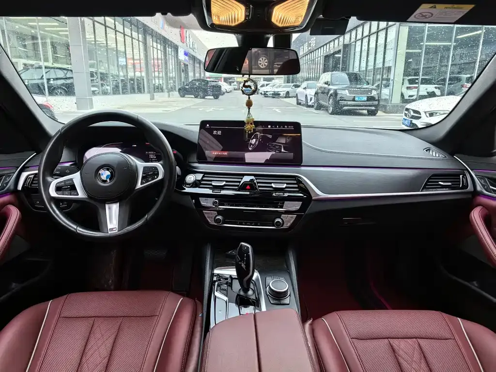 BMW 5 Series 2022 из CN, фото 7