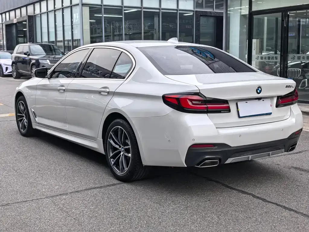 BMW 5 Series 2022 из CN, фото 9