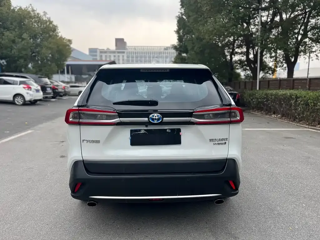 Toyota Wildlander 2023 из CN, фото 10