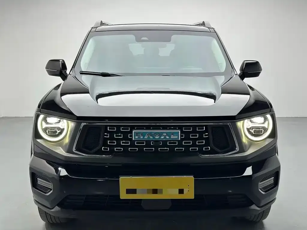 Haval H7 (Big Dog Plus) New Energy 2024 из CN, фото 2
