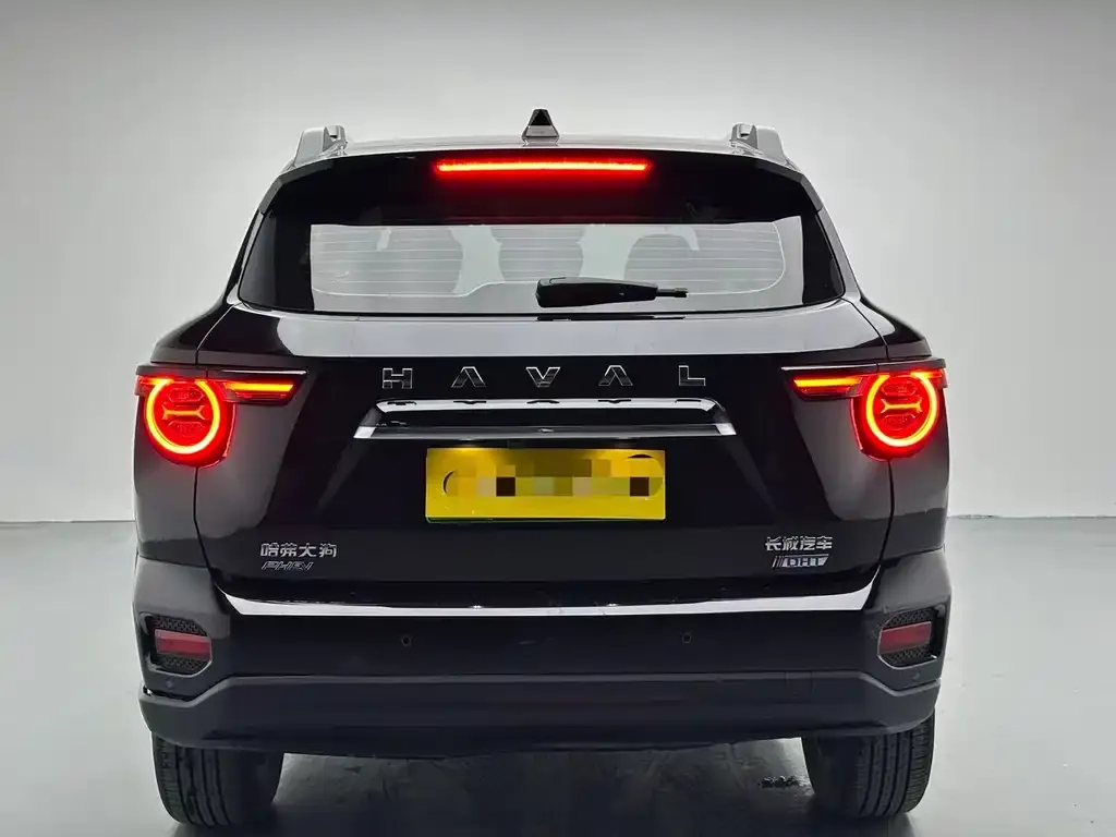 Haval H7 (Big Dog Plus) New Energy 2024 из CN, фото 5
