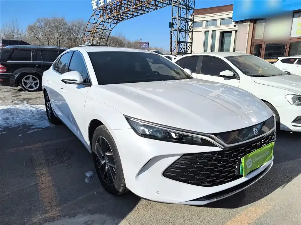 BYD Qin L 2024 из CN, фото 10