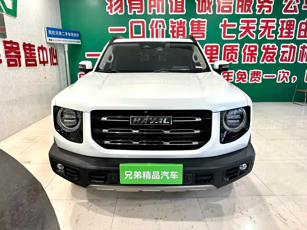 Haval Big Dog 2021 из CN, фото 3