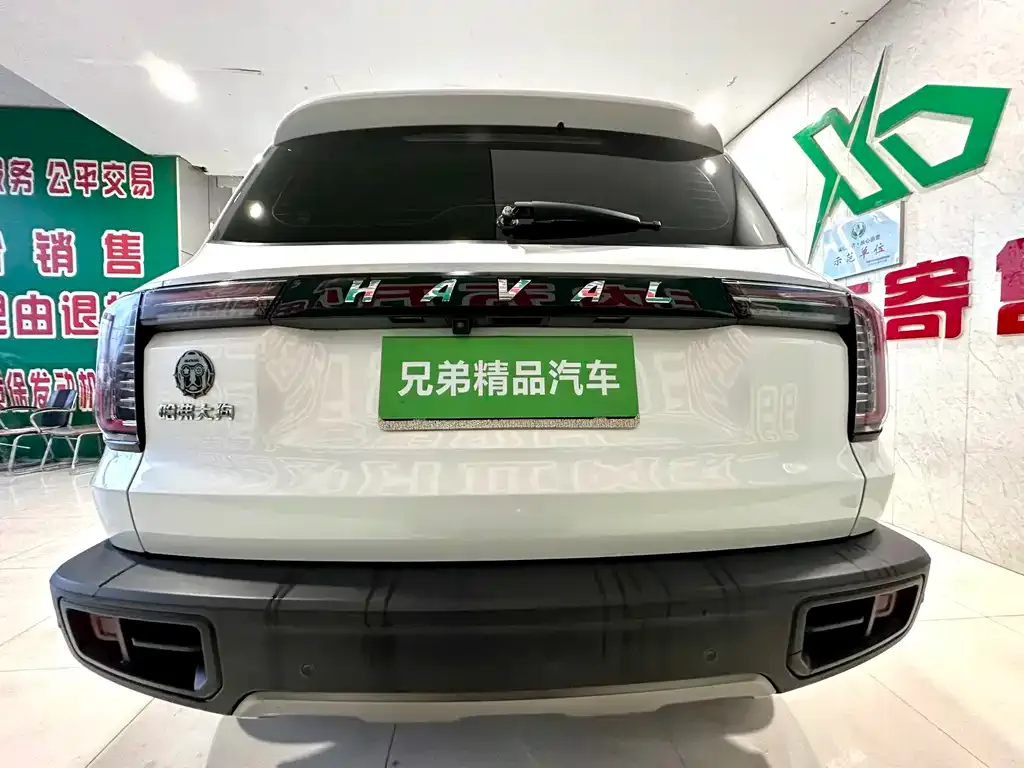 Haval Big Dog 2021 из CN, фото 8