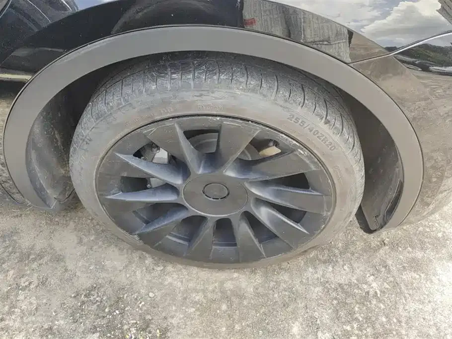 Tesla Model Y 2021 из CN, фото 7