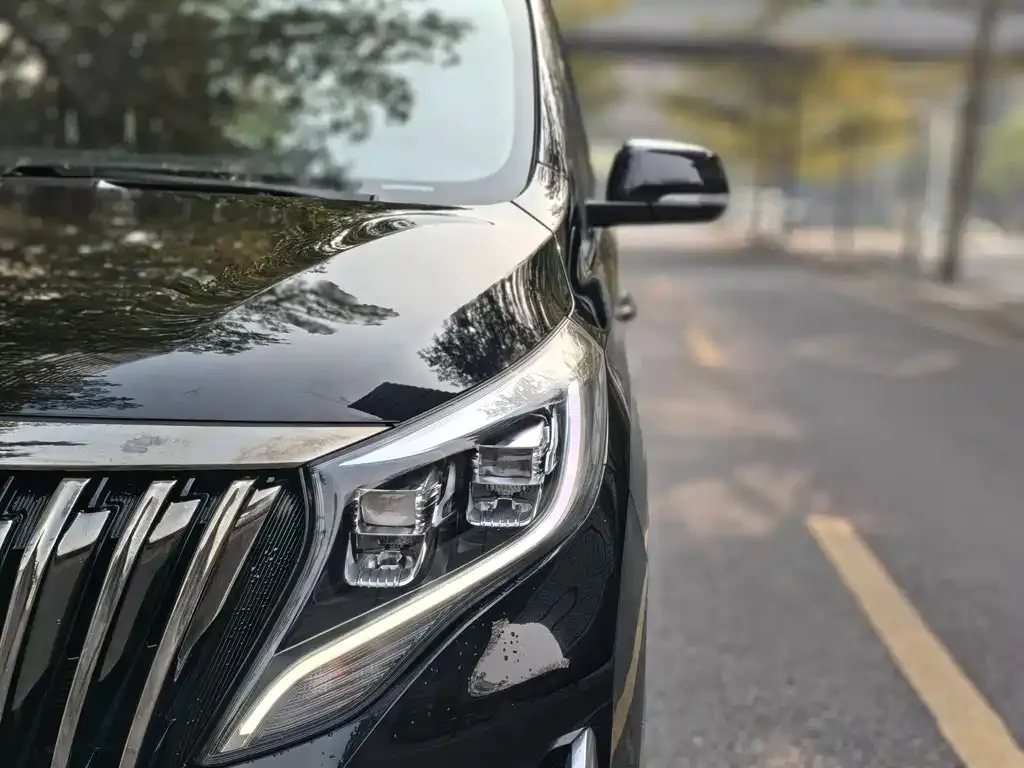 GAC Motor Trumpchi M8 2021 из CN, фото 7