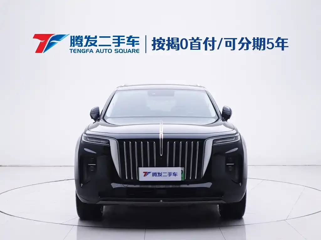 Hongqi E-HS9 — фото 2