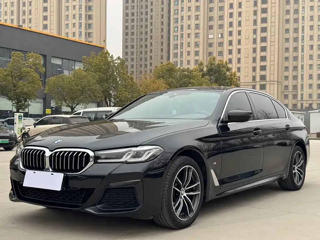 BMW 5 Series 2022 из CN, фото 1