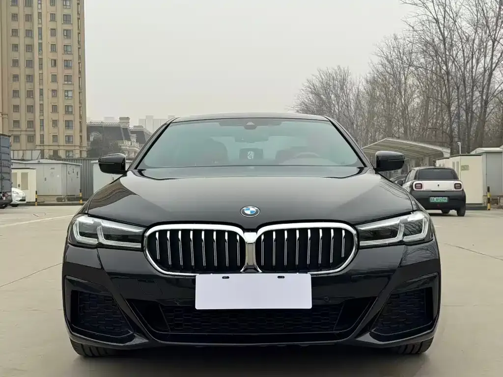 BMW 5 Series 2022 из CN, фото 6