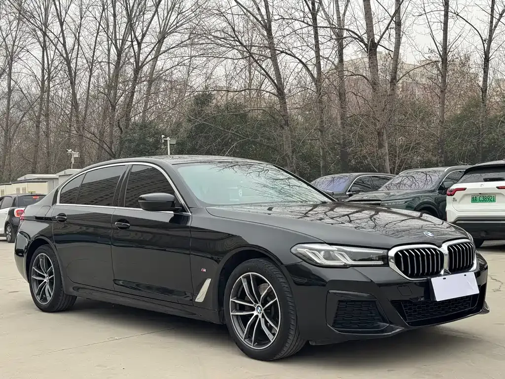 BMW 5 Series 2022 из CN, фото 9