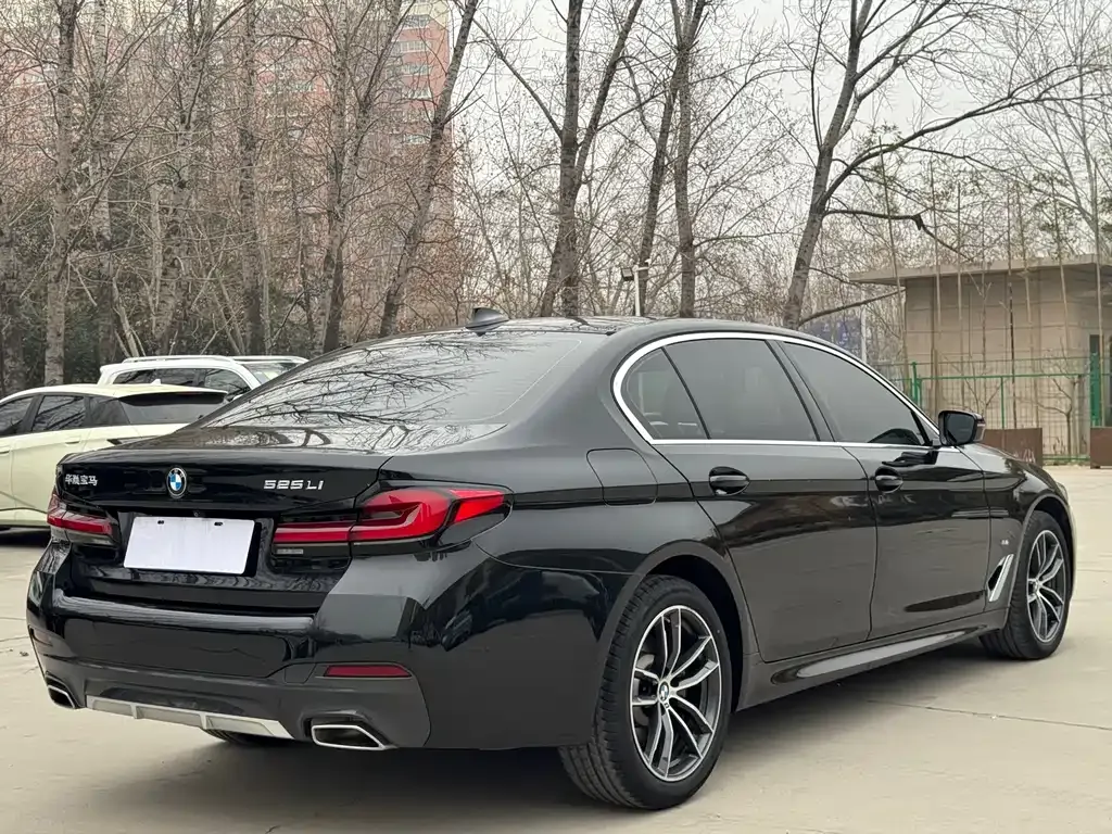 BMW 5 Series 2022 из CN, фото 4
