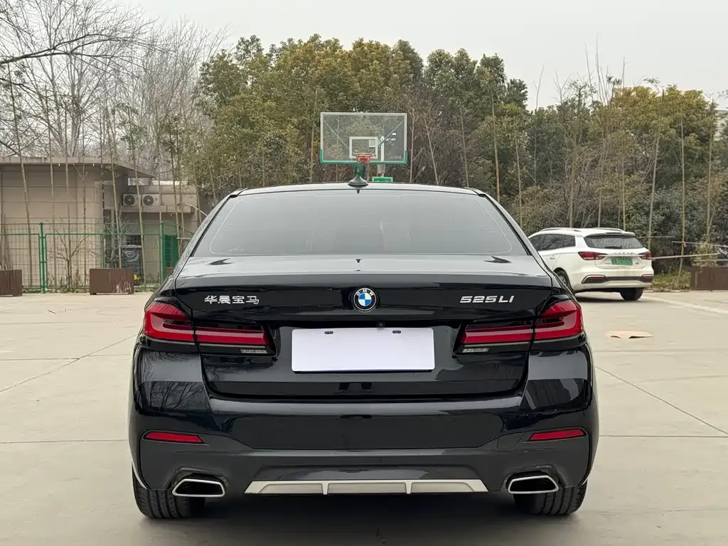 BMW 5 Series 2022 из CN, фото 3
