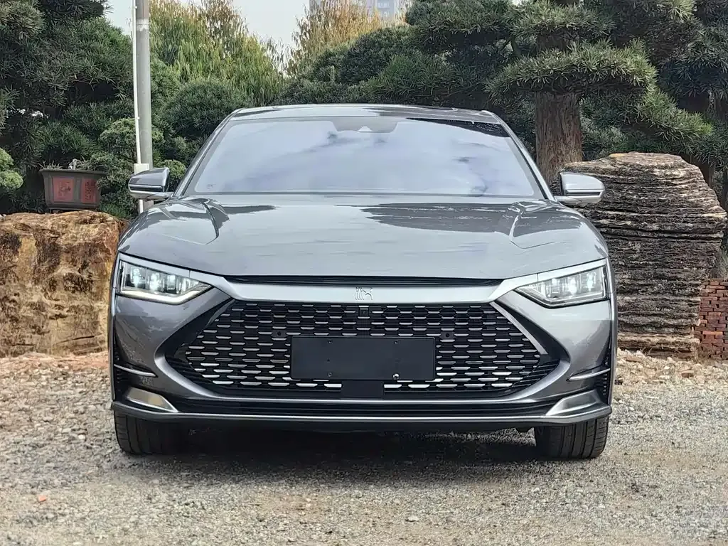 BYD Han 2021 из CN, фото 4