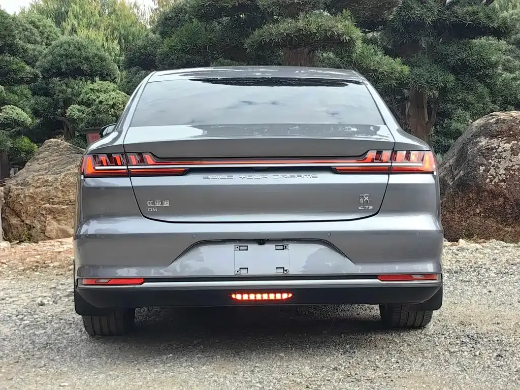 BYD Han 2021 из CN, фото 7