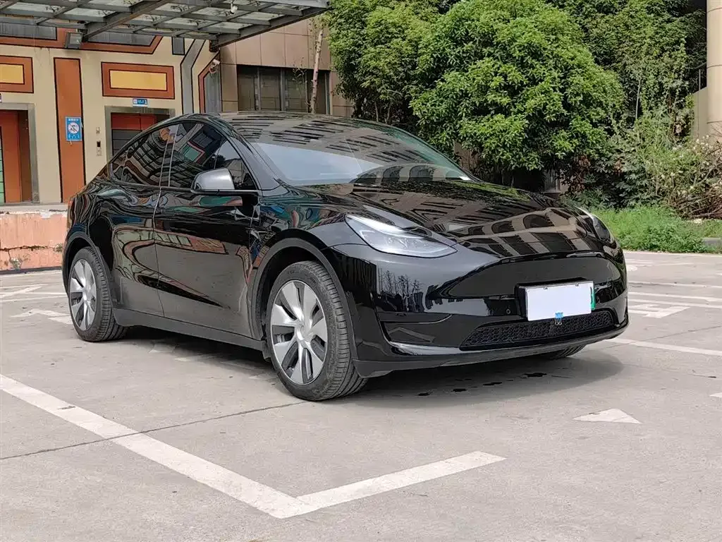 Tesla Model Y — фото 10
