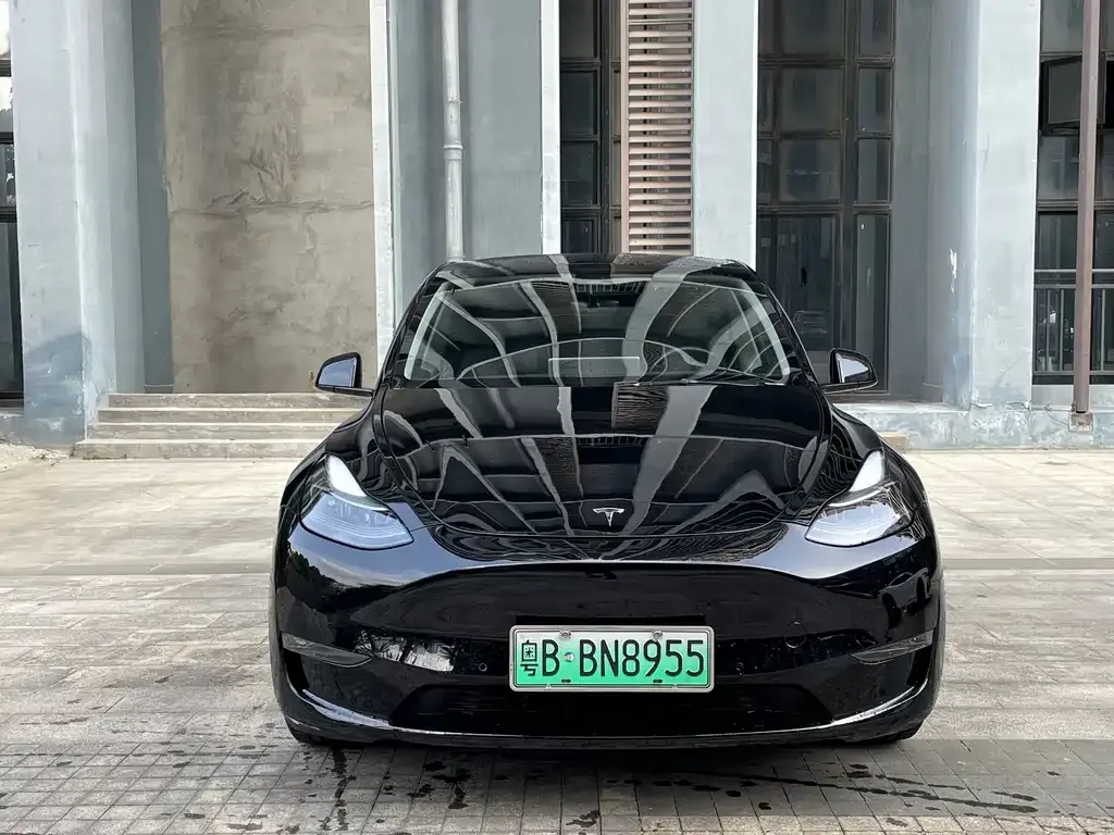 Tesla Model Y — фото 3