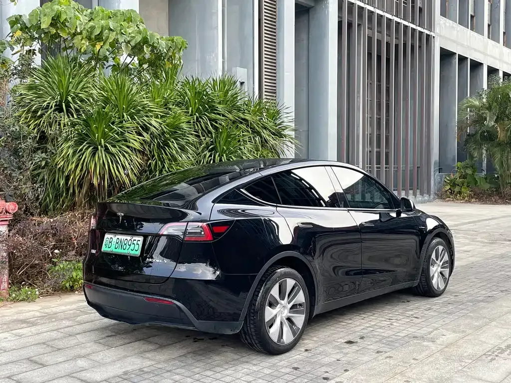 Tesla Model Y — фото 10
