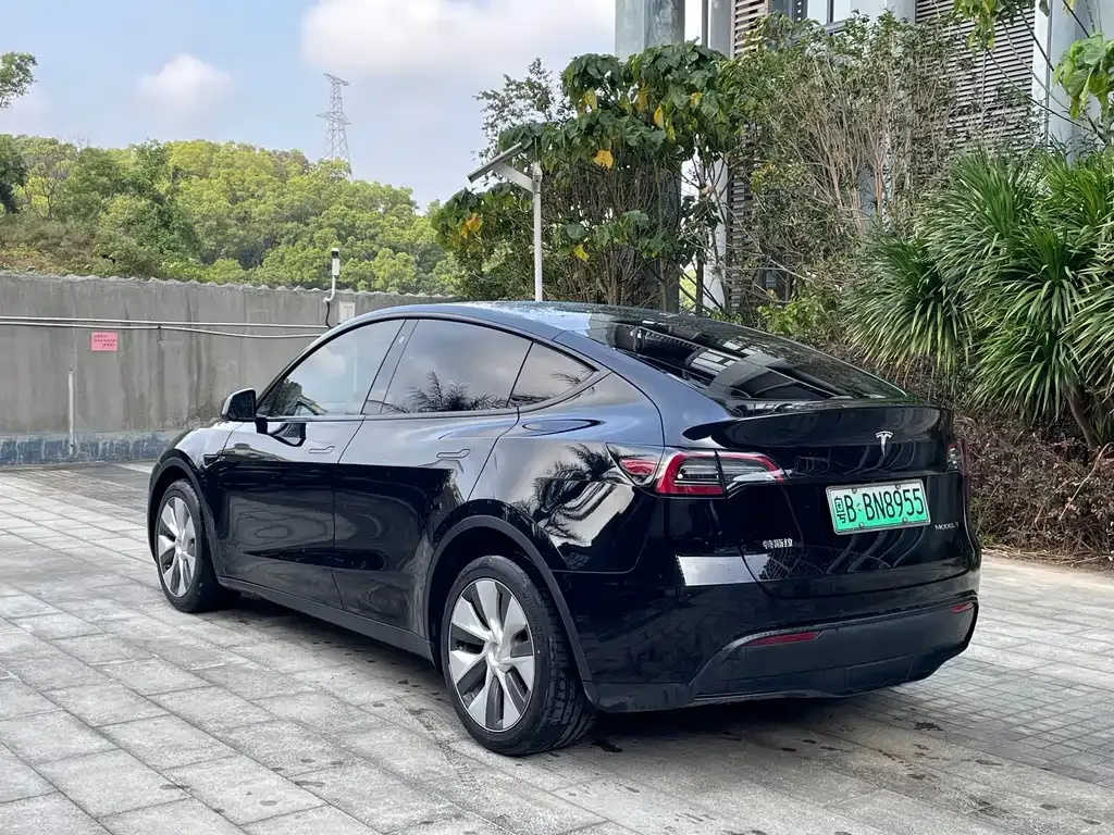 Tesla Model Y — фото 7