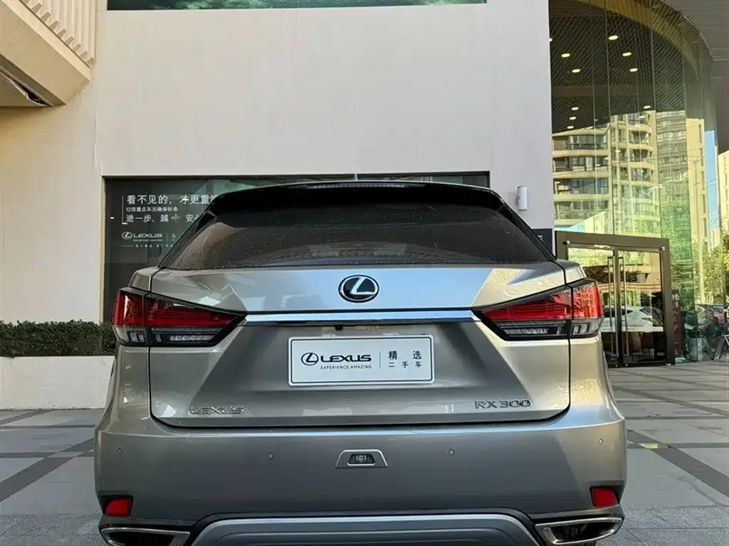 Lexus RX — фото 5
