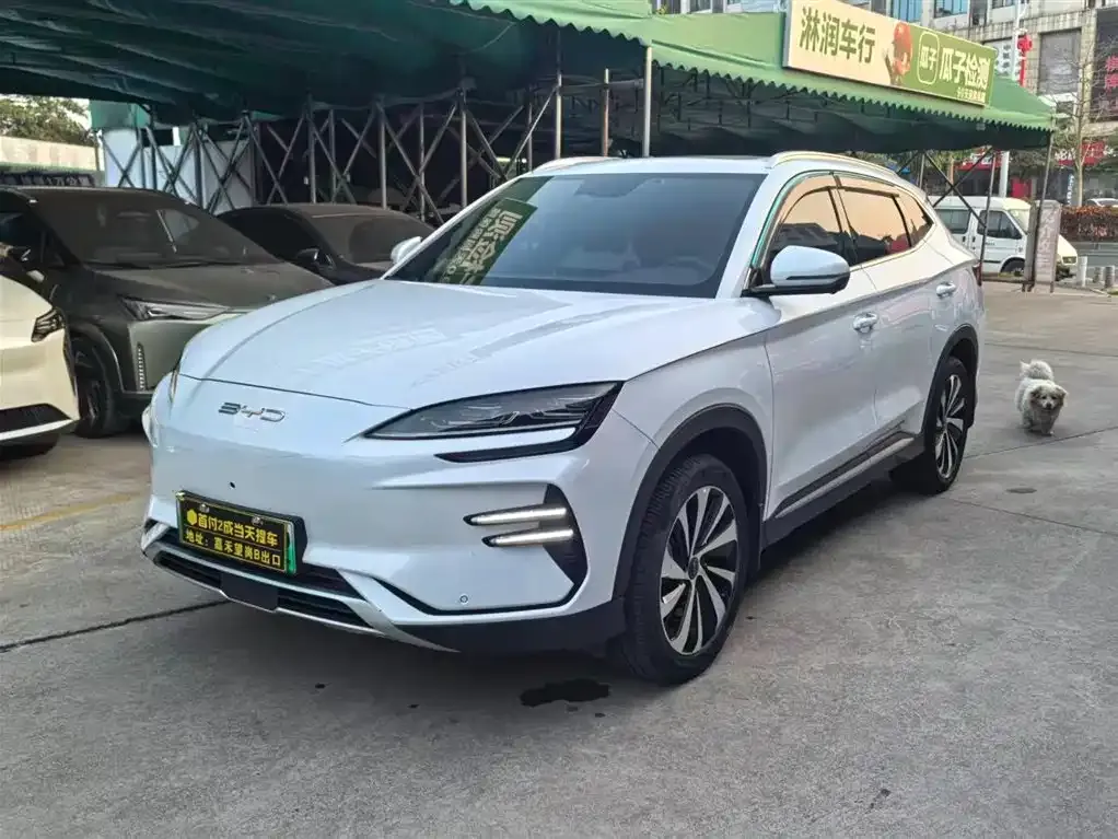 BYD PLUS New Energy — фото 1